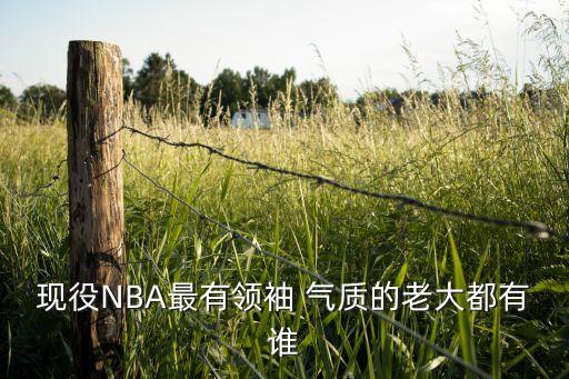 現役NBA最有領袖 氣質的老大都有誰