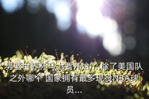 男籃世界杯馬上要開始了,除了美國隊之外哪個 國家擁有最多現(xiàn)役NBA球員...