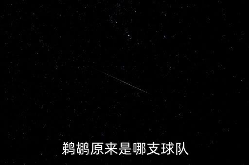 nba鵜鶘原來(lái)是哪個(gè)隊(duì),新奧爾良鵜鶘隊(duì)隊(duì)徽揭曉
