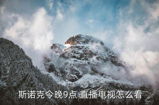 斯諾克哪個頻道直播回放,中國體育直播平臺斯諾克今晚九點直播