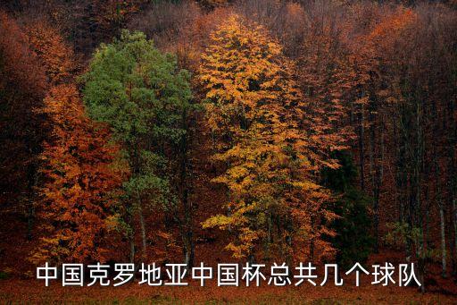 中國克羅地亞中國杯總共幾個球隊(duì)