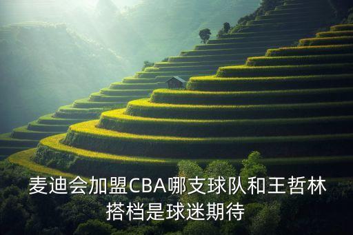 麥迪在cba哪個隊(duì),我國籃球隊(duì)急需姚明和王哲林