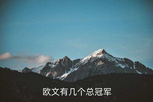  歐文有幾個總冠軍
