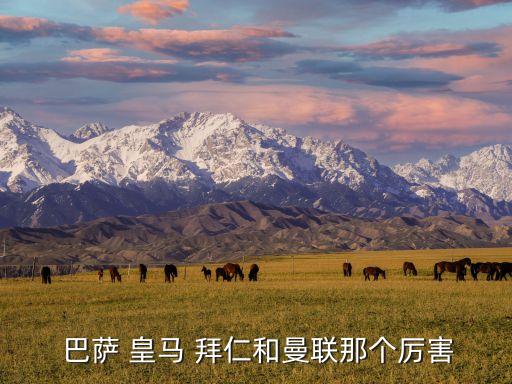  巴薩 皇馬 拜仁和曼聯(lián)那個(gè)厲害