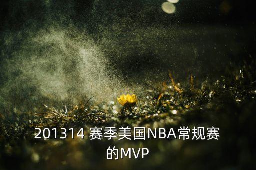杜蘭特mvp賽季哪個賽季,nba球星追加陣容:他是中國人