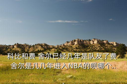 科比和費 舍爾已經(jīng)幾年是隊友了費 舍爾是幾幾年進入NBA的唄哪個...