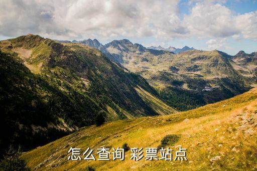彩票都是哪個網址買的,彩票網站可查看實時結果了解投注情況