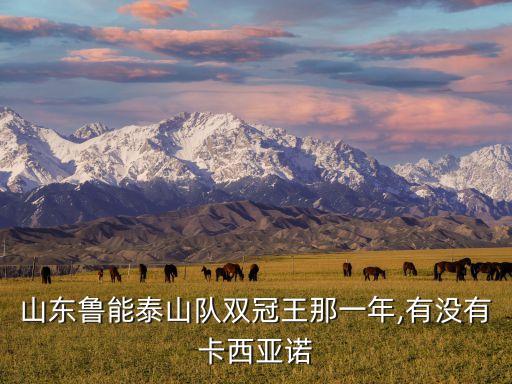 山東魯能泰山隊(duì)雙冠王那一年,有沒有卡西亞諾