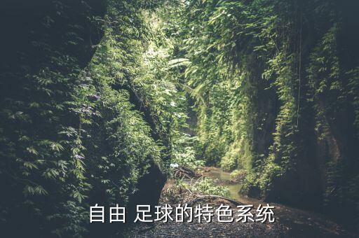 自由足球哪個(gè)職業(yè)好,玩自由足球到30級(jí)就不能跳槽