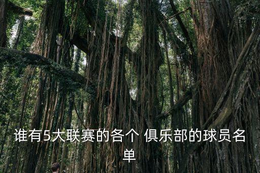 納喬效力哪個(gè)俱樂(lè)部,足壇消息:納喬是一名全能型球員