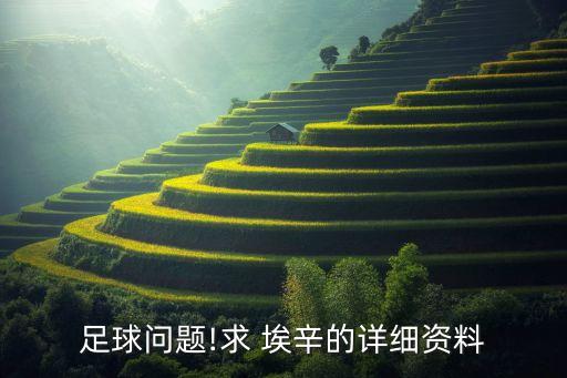 足球問題!求 埃辛的詳細(xì)資料