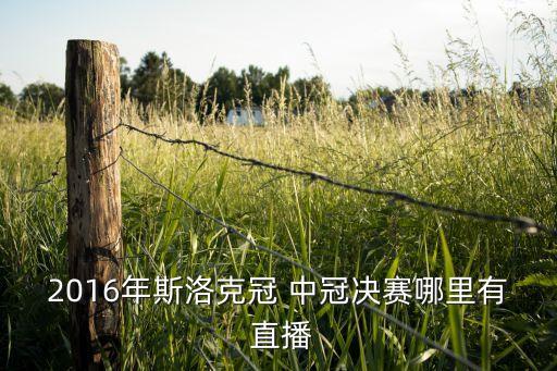 哪個網(wǎng)站看冠中冠直播,歐冠:希金斯狀態(tài)更好奪冠中冠收獲10