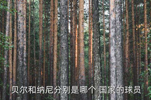  貝爾和納尼分別是哪個(gè) 國(guó)家的球員