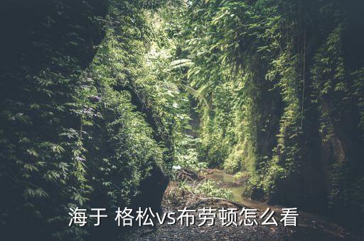  海于 格松vs布勞頓怎么看