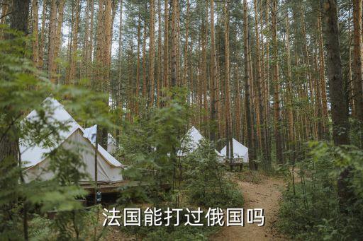 俄羅斯vs法國哪個贏,法國對俄宣戰(zhàn)顯然比俄羅斯強(qiáng)多了