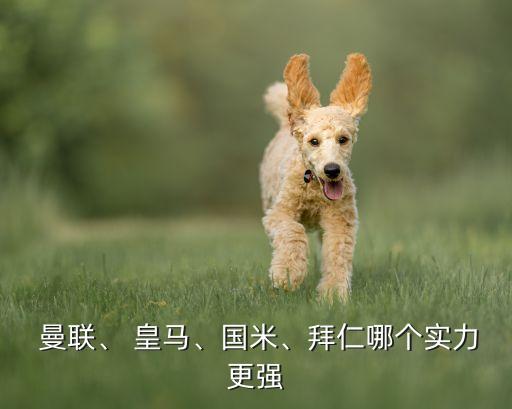  曼聯(lián)、 皇馬、國(guó)米、拜仁哪個(gè)實(shí)力更強(qiáng)
