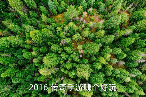 中國(guó)02傳奇哪個(gè)好,2016年arpg手游排行榜