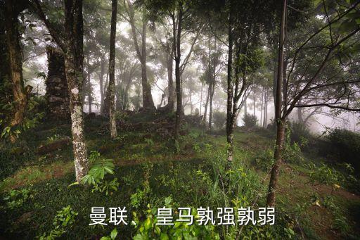  曼聯(lián)、 皇馬孰強(qiáng)孰弱