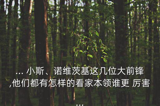 加內(nèi)特和小斯哪個(gè)厲害2k,我和納什還能再做朋友嗎?