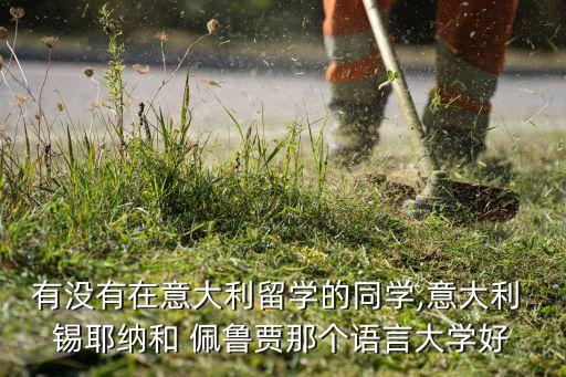 錫耶納佩魯賈哪個好,中國學(xué)生學(xué)意大利語可在錫耶納考一次