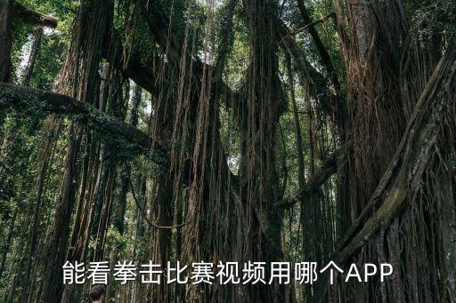 勁爆體育回看用哪個app,如何在手機上看電視?答案出爐!