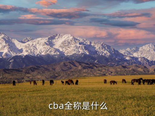  cba全稱(chēng)是什么