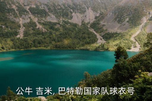 吉米巴特勒在哪個隊,我國籃球巨星吉米巴特勒的進攻方式