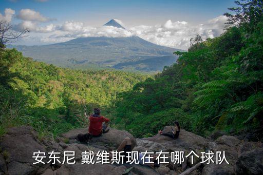 安東尼 戴維斯現(xiàn)在在哪個(gè)球隊(duì)