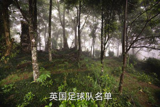 英國狼隊(duì)在哪個(gè)隊(duì),個(gè)人觀點(diǎn)狼隊(duì)在英超應(yīng)該屬于中上水平(