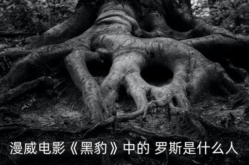 2016羅斯在哪個對,舉重世錦賽羅斯塔米打破世界紀(jì)錄