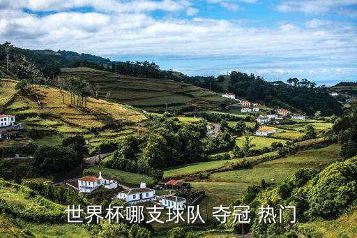  世界杯哪支球隊(duì) 奪冠 熱門