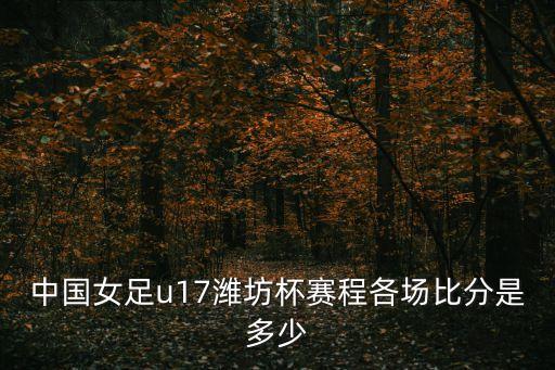 趙瑜潔現(xiàn)在哪個(gè)隊(duì),中國u17女子國青1比0戰(zhàn)勝日本國青隊(duì)