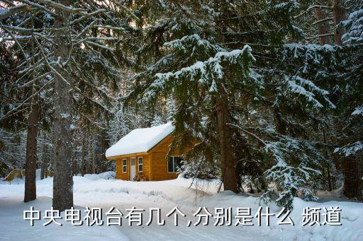 中央電視臺(tái)有幾個(gè),分別是什么 頻道