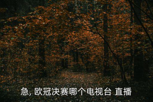 歐冠16強在哪個臺直播,四個直播平臺全程播放比賽直播