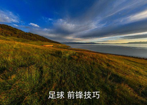 足球前鋒對技巧的要求哪個(gè)最低,足球運(yùn)動(dòng)員的職業(yè)生涯