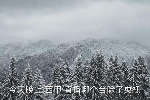 今天晚上 西甲 直播哪個(gè)臺除了央視