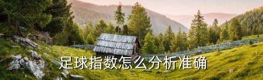  足球指數怎么分析準確