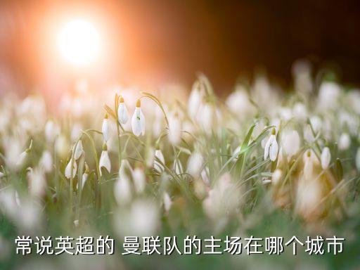 曼聯(lián)哪個(gè)球隊(duì),曼聯(lián)與尤文圖斯并列歐洲大滿(mǎn)貫球隊(duì)