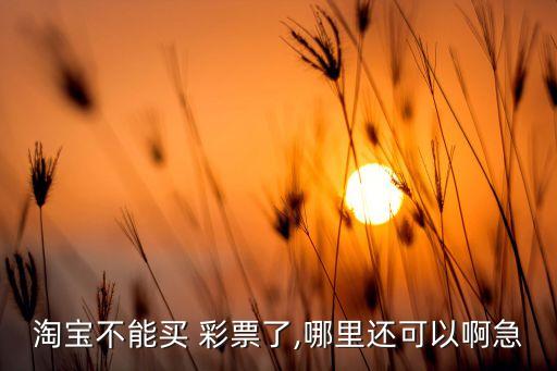 哪個網站還可以買彩票,《辭?！方忉尣势比绾物w鴿子票