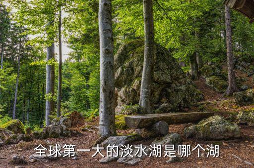 全球第一大的淡水湖是哪個湖