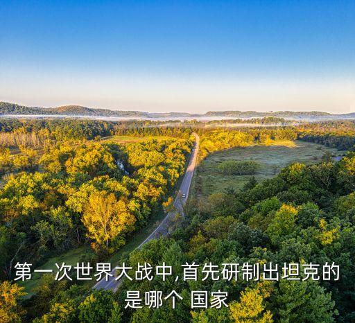 第一次世界大戰(zhàn)中,首先研制出坦克的是哪個(gè) 國家