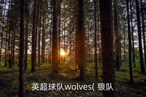 英超球隊wolves( 狼隊
