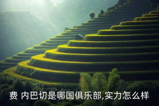 費 內巴切是哪國俱樂部,實力怎么樣