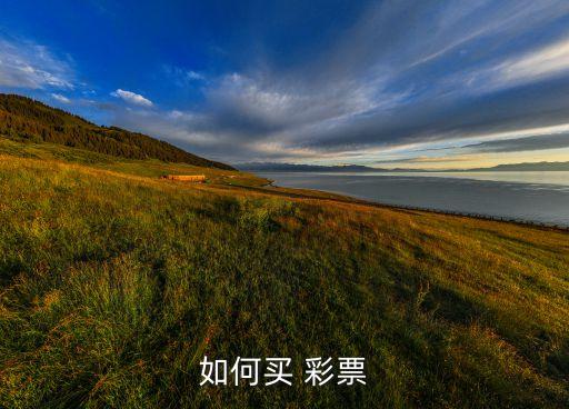 哪個(gè)大網(wǎng)站可以買(mǎi)彩票,網(wǎng)上彩票如何購(gòu)買(mǎi)?