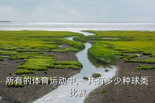 所有的體育運(yùn)動中,一共有多少種球類比賽
