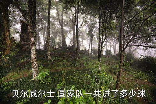  貝爾威爾士 國家隊一共進(jìn)了多少球