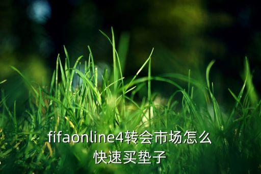 fifaonline4轉(zhuǎn)會(huì)市場(chǎng)怎么快速買(mǎi)墊子