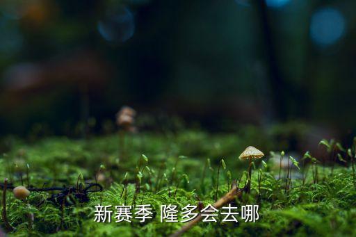 新賽季 隆多會(huì)去哪