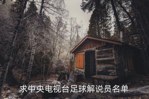 求中央電視臺足球解說員名單