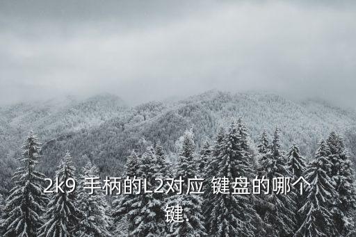 手柄r2是鍵盤哪個(gè)鍵,我只知道手柄對應(yīng)鍵盤的哪個(gè)鍵l2?